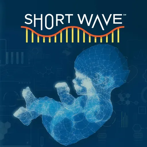 Why Gene-Edited Babies May Be Closer Than Ever