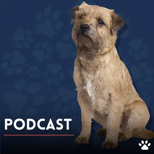 ¡Cuida a tu mascota como un experto!