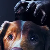 Kinovärgiga mandariin #341