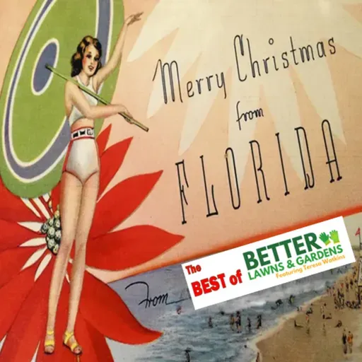 S2 Ep411: Better Lawns and Gardens - Hour 1 Merry Christmas From Florida December 20, 2025