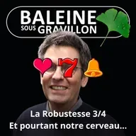 S07E03 La Robustesse 3/4 : Ce que nous apprend notre propre cerveau (Olivier Hamant)