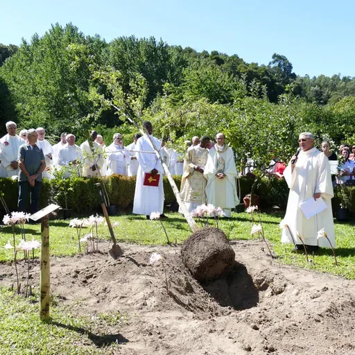 LUSOFONIAS - Da Ginkgo Biloba à Flor da Amendoeira