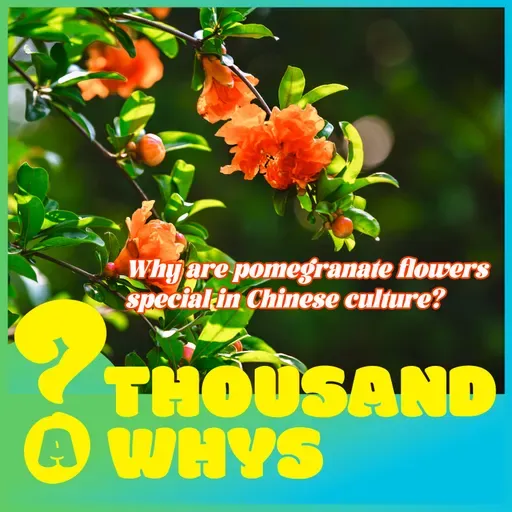 Why are pomegranate flowers special in Chinese culture?