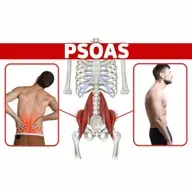 The BEST Way to Release a Tight Psoas Muscle for Low Back Pain and Poor Posture