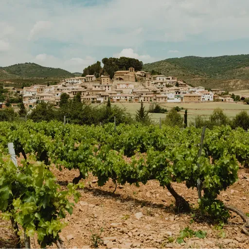 Eslava lidera un modelo de vino regenerativo