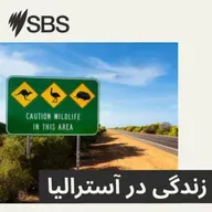 Women’s legal services in Australia: Understanding your options - خدمات حقوقی برای زنان در آسترالیا؛ چه گزینههای در دسترس است؟