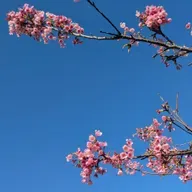 2026/02/13【３分間トーク】散策っていいね。 from Radiotalk