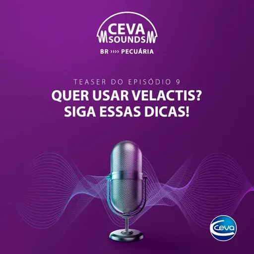 Serie Manejo de Secagem #9 Quer usar Velactis? Siga essas dicas!