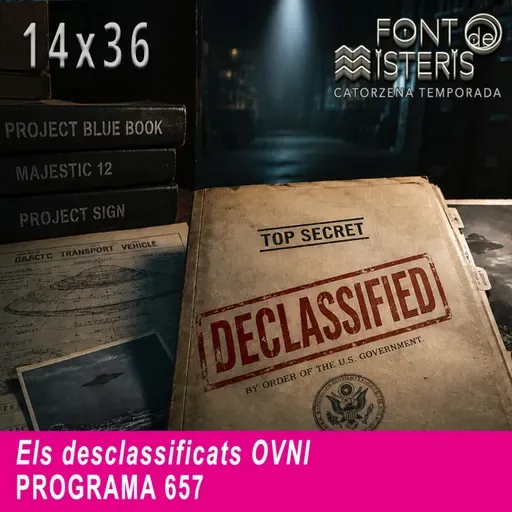 Els desclassificats OVNI | Font de Misteris 14x36 (657)