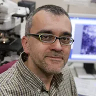 Radiació de fons: meteorits i defensa planetària