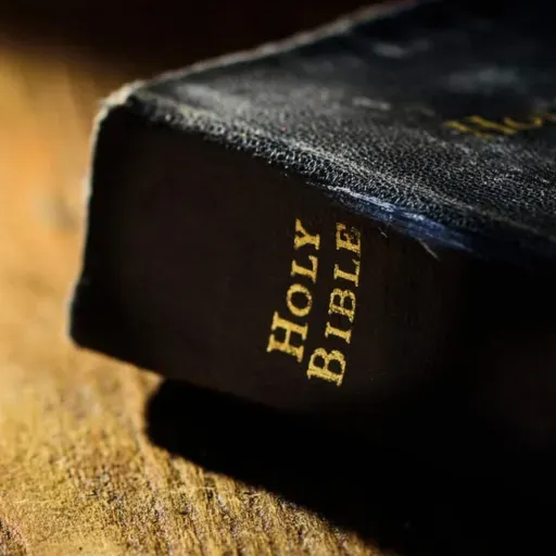 EN Zürich 1987 08 30 14.00