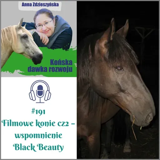 #191 Filmowe konie cz2 – wspomnienie Black Beauty