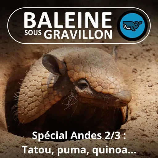 SPÉCIAL ANDES 2/3 : Tatou, Puma, Quinoa... (Ma vie au Chili)