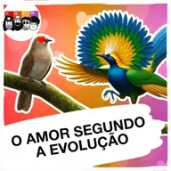 Por que escolhemos parceiros de certos tipos? A seleção sexual explica.