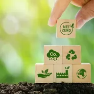 🌱 El nuevo paradigma de la sustentabilidad en los negocios llegó para quedarse