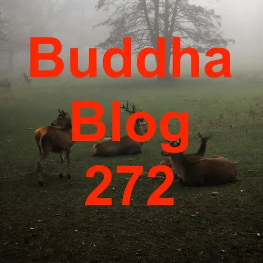 272-Erfolge feiern-Buddha Blog Podcast-Buddhismus im Alltag