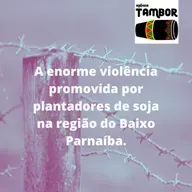 A enorme violência promovida de diversas formas por plantadores de soja (agronegócio), na região do Baixo Parnaíba.