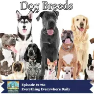 All About Dog Breeds