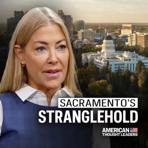 I Talked to 50 California Mayors. What They Told Me Was Surprising | Elaine Culotti