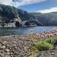 Clár 288; Leathchéad bliain ó dfhág Tim Severin agus a chriú Cuas a' Bhodaigh