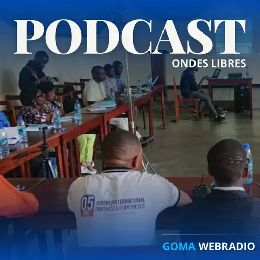 Kinésithérapie, loi organique et le fossé de l'inclusion au Nord-Kivu