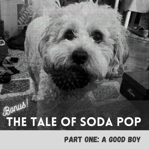 The Tale of SodaPop: Part One