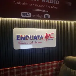 Enduata Fm.
