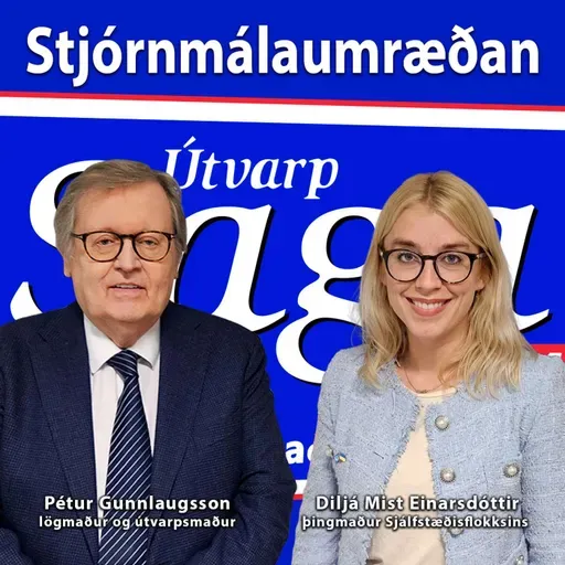 Stjórnmálaumræðan - Pétur Gunnlaugsson & Diljá Mist Einarsdóttir