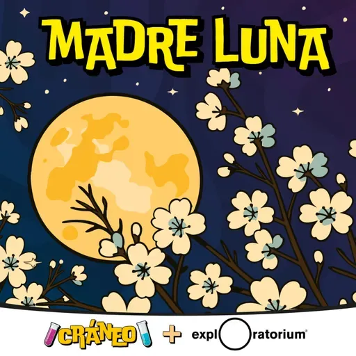 Madre Luna