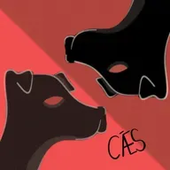 Cães