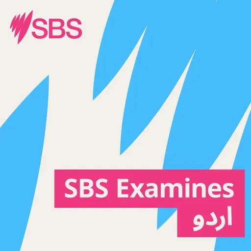 As women linked to ISIS return, how does Countering Violent Extremism (CVE) work in Australia? - ISIS سے منسلک خواتین کی واپسی، آسٹریلیا میں کاؤنٹرنگ وائلنٹ ایکسٹریمزم (CVE) کیسے کام کرتی ہے؟