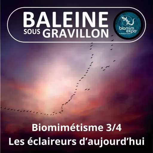 S07E38 Biomimétisme et bioinspiration 3/4 : Les éclaireurs d'aujourd'hui (Alain Renaudin)