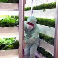 Cibo del futuro: Cosa mangeremo nel 2050