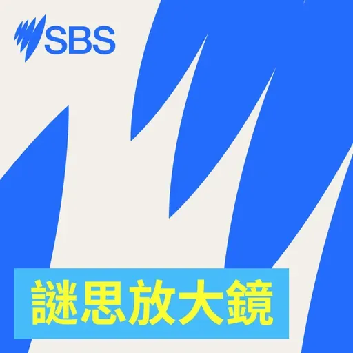 In a polarised and digital world, can grief unite us? - 【SBS Examines】分裂時代下,悲傷能把我們連結起來嗎?