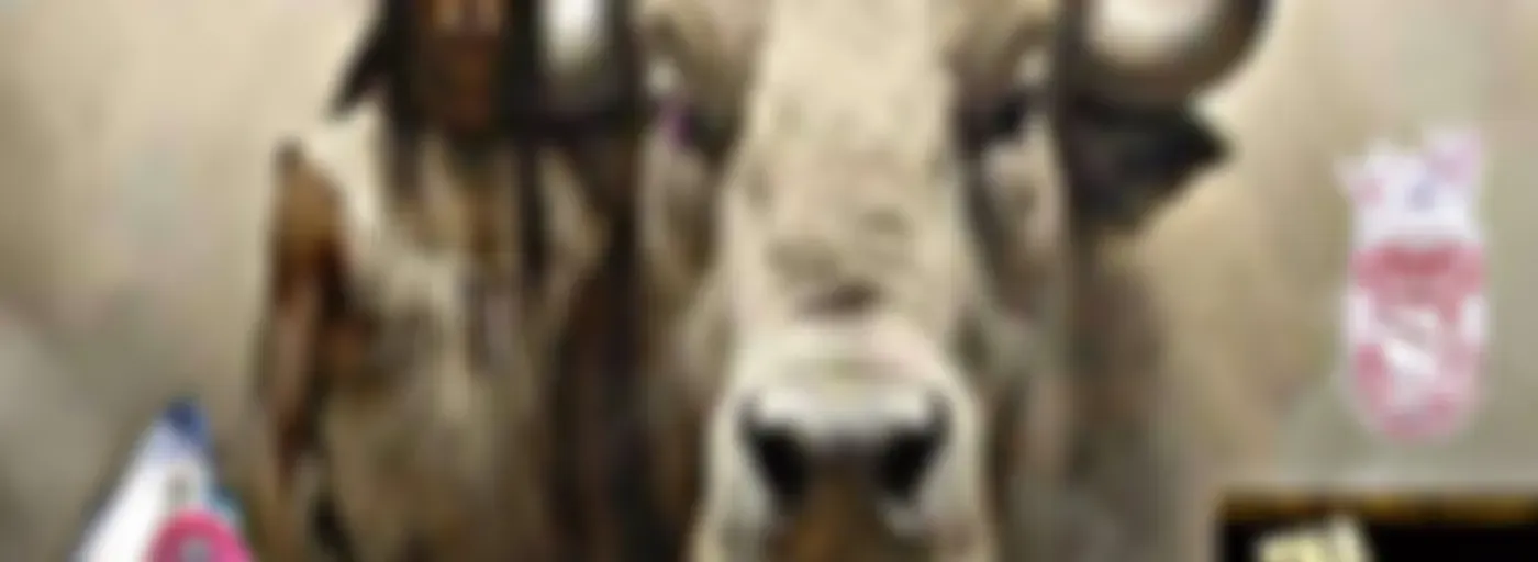 Healing With Ms. Peggy Autumn's Way