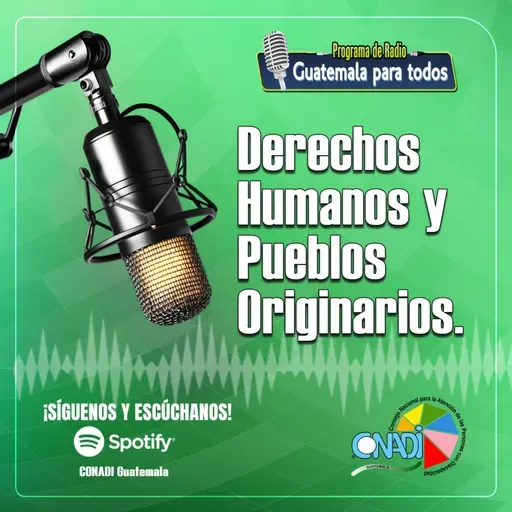 Derechos Humanos y Pueblos Originarios