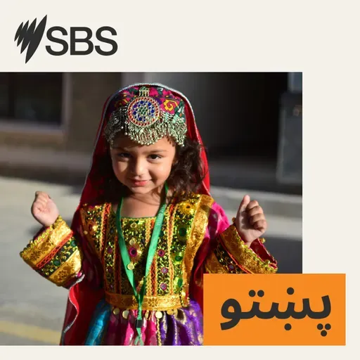 له کرېکټ تر کډوالۍ: د فرید هوتک د نوي ژوند کیسه
