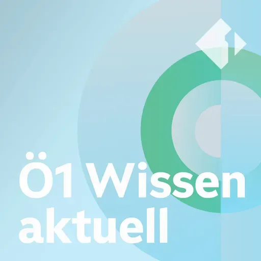 Regenwald, Wittgenstein