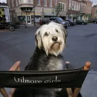 What about Paul Anka (the dog)? 