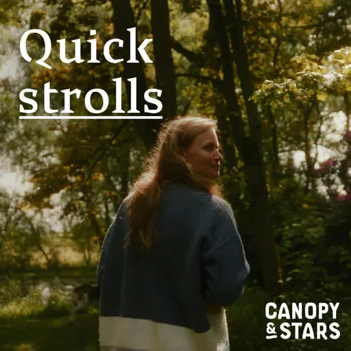 Quick Strolls: A Space for Everyone