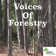Voices of Forestry Ep. 68 - The Tree Farm Audit