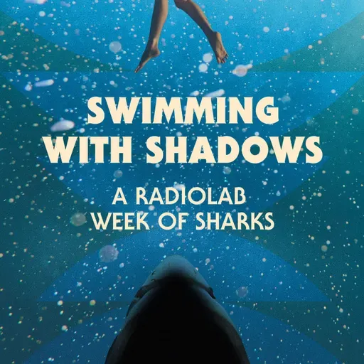 Swimming with Shadows: A Radiolab Week of Sharks