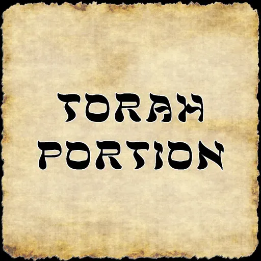 Torah Portion for 11/15/2025