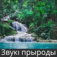Шум дарог пасля дажджу - 10 гадзін для сну, медытацыі і рэлаксацыі