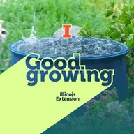 Ep. 225 Stormwater Solutions for Homeowners & Communities | #GoodGrowing