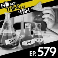 579: No Such Thing As Indiana Jones And The Rare Burrito