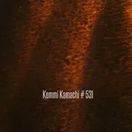 Kemmi Kamachi # 531