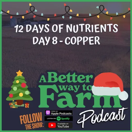 12 Days of Nutrients - Day 8: Copper