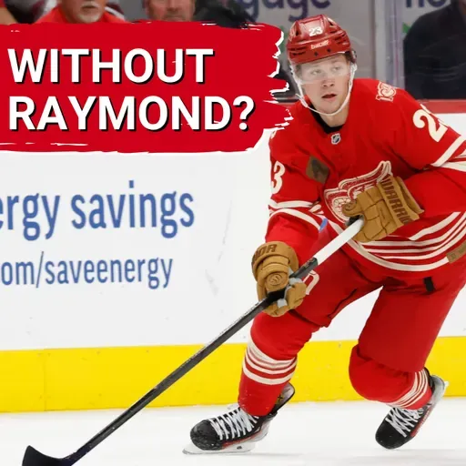 If Lucas Raymond misses time can the Detroit Red Wings survive? | Previewing the Florida Panthers