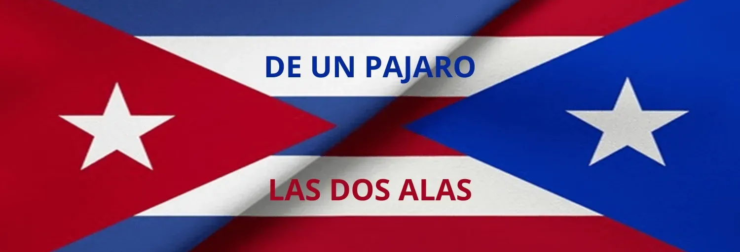 DE UN PAJARO LAS DOS ALAS